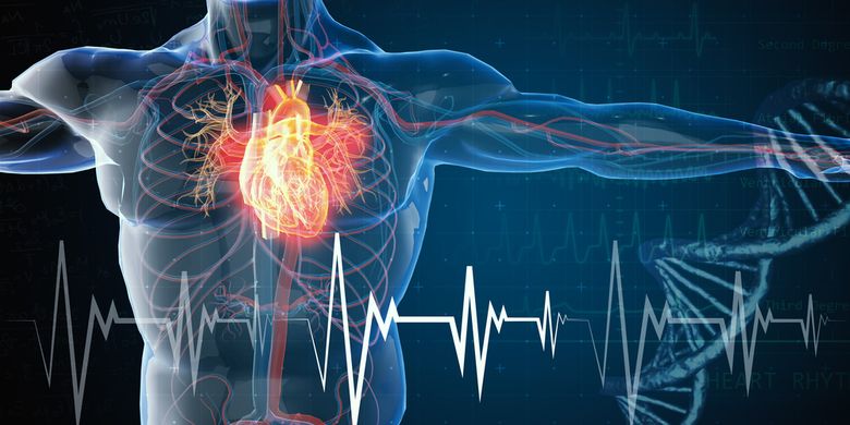 Pentingnya Menjaga Kesehatan Pada Organ Jantung